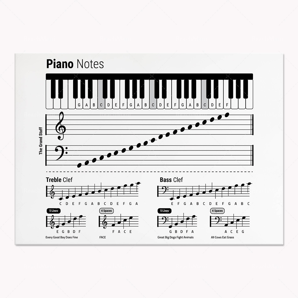 Guitar theory, piano, audio sp - Audio To Music Sheet 评论和价格